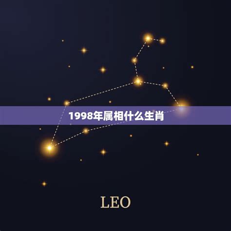 98年属|1998年属什么生肖 1998年属什么生肖属相什么命